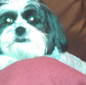 Meet your Posher, Lorna